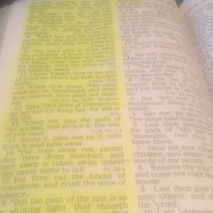 Meet your Posher, Lisa